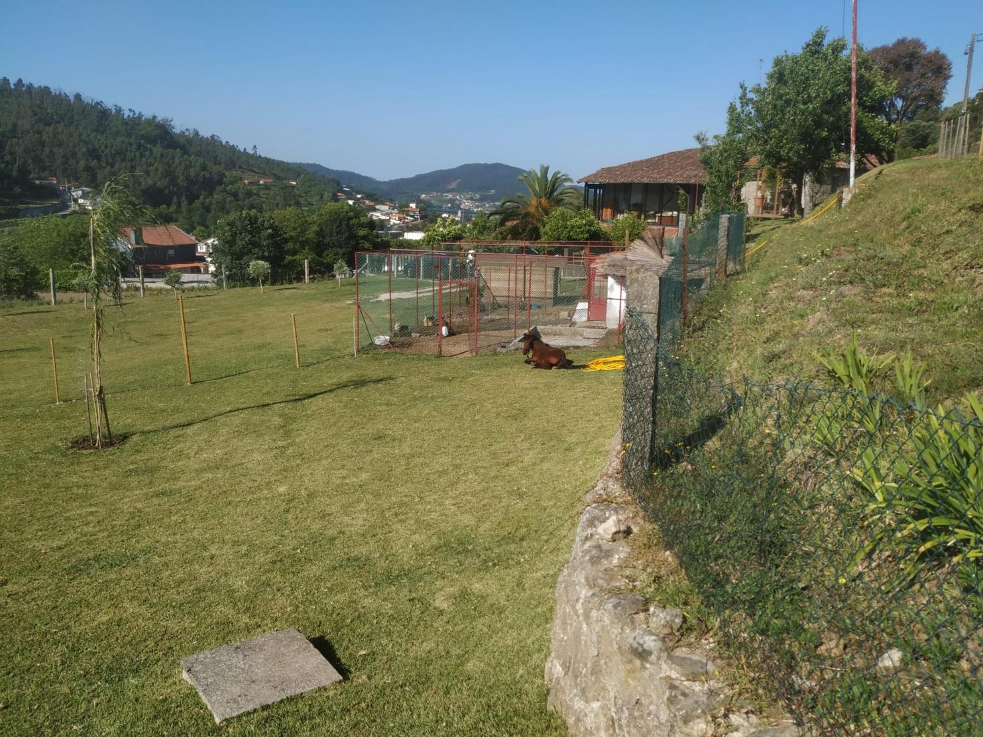 Quinta Dos Campos - Apartamento 2 Braga Exteriör bild